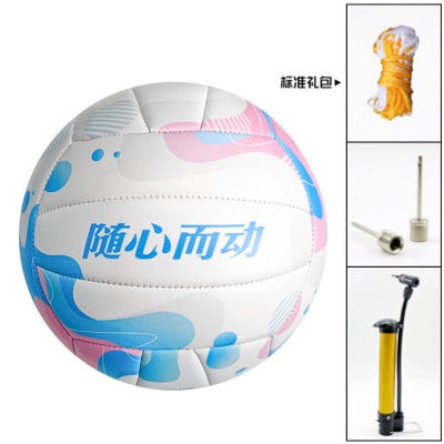 水云游 送气针网兜+打气筒