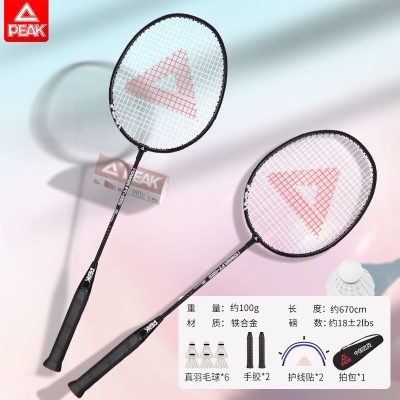 2支【初学升级】极光黑色（送6羽毛球套装）热销款
