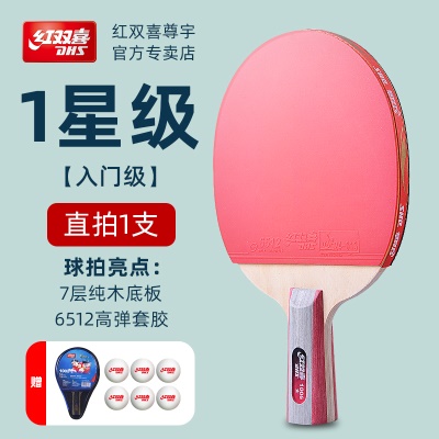 1星H1006【直拍1只】送6球+包