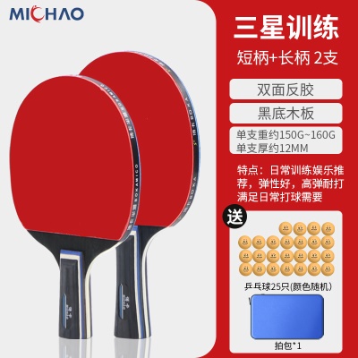 三星级训练款（横+直）25只三星球+拍包