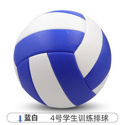 蓝白【常规款】4号中考学生专用（送气筒气针网兜）