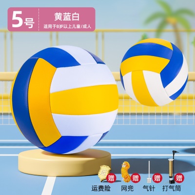 【5号黄蓝白】标准款-加厚款--送打气筒+网兜+气针