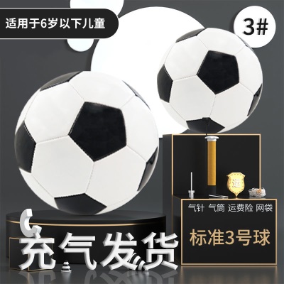 3号-加厚防爆款黑白块（送气针 气筒  网袋）