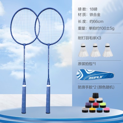 天空蓝（2支蓝色球拍+2手胶+3羽毛球+拍包）