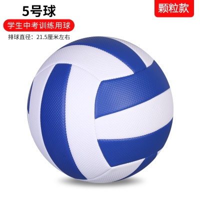 防爆加厚款；5号中考蓝白颗粒 送气筒气针网兜