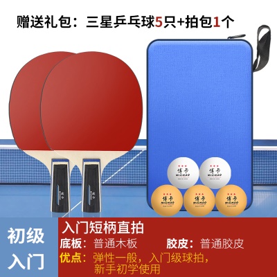 初级入门（直拍2支）+5只三星球1拍包