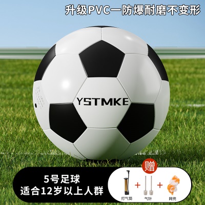 【5号＿黑白＿踢坏免费换新】送打气筒/球针/网兜