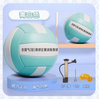 超轻气排【5号青白色】中小学生 送气针气筒网兜