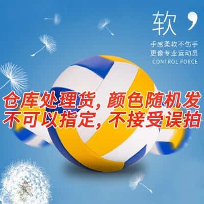 排球【随机款】颜色型号随机（无赠品）
