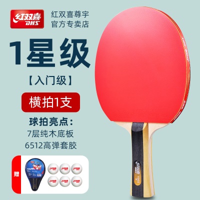 1星H1002【横拍1只】送6球+包