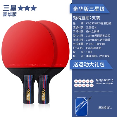 【豪华版三星级2支装】短柄直拍+送10个球、拍包