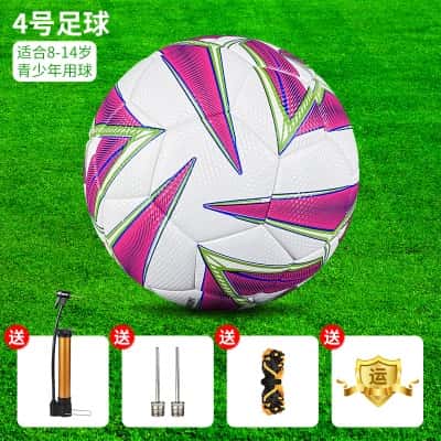 【升级特惠】4号磨砂珠光粉色