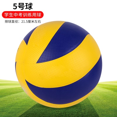 贴皮硬排；专业比赛硬排黄蓝硬皮 送气筒气针网兜