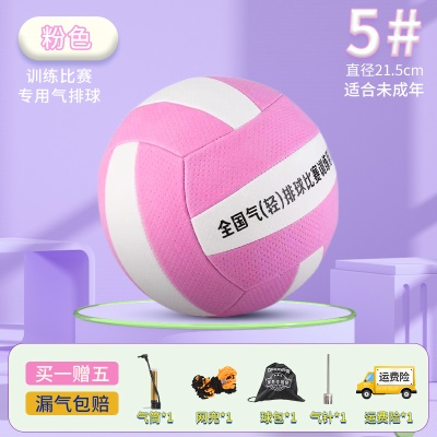 【5号气排球】粉色送球包+充气三件套