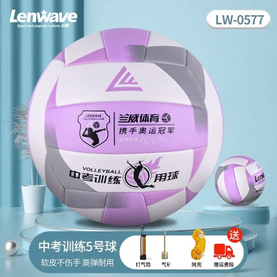 花式排球5号紫色+气筒+气针网兜