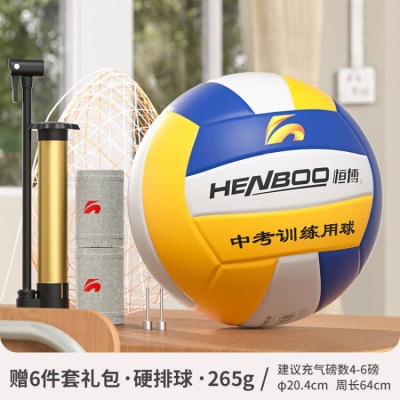 【5号标准球】 PU皮靛青，送护腕+气针+网兜+气筒