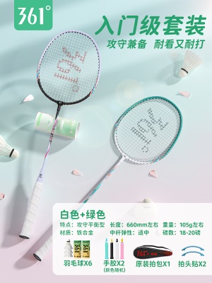 热销豪华款丨熟练级球拍2只+送赠品6球套装