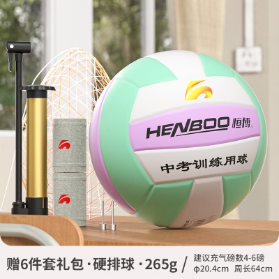 【5号标准球】 PU皮石青，送护腕+气针+网兜+气筒