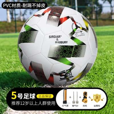 黑白色世界杯款5号【12岁以上标准专业球】-PVC不破皮