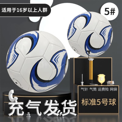 5号-加厚防爆款蓝小旋风（送气针 气筒  网袋）