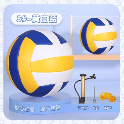 经典款【5号黄白蓝】送气筒网兜气针