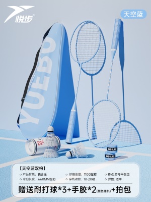 天空蓝/2支【热销款/攻守兼备】PRO-217 送3个耐打球+2个手胶+原装包*1