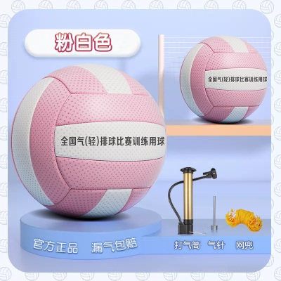 超轻气排球【5号粉白色】中小学生 送气针气筒网兜