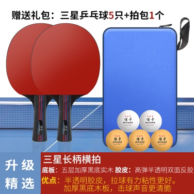 4星进阶（横拍长柄）2支+送5球+1拍包