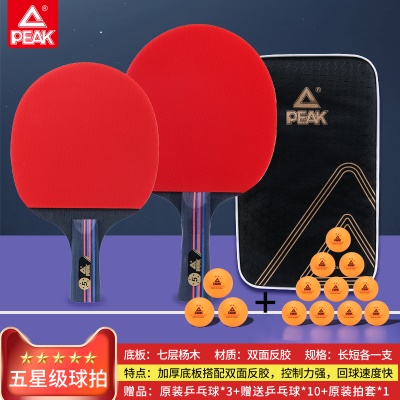 【5星套装】一横一直送10个球+拍包