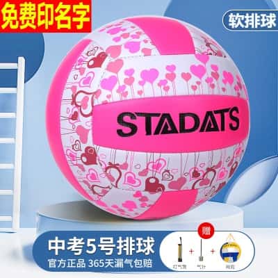 5号女生软排球【免费印名字】 (打气筒+气针+网兜)