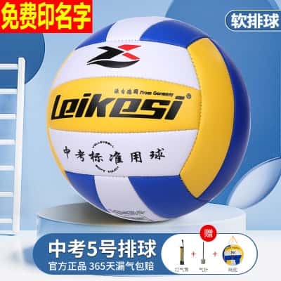 5号雷克斯软排球【免费印名字】 打气筒+气针+网兜
