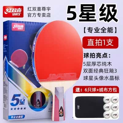 五星全能型（H5）直拍一支