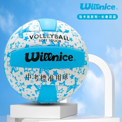 长春花蓝-加厚耐磨柔软高颜值升级款送气筒球包网兜气针+漏气质保