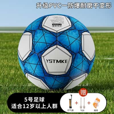 【5号＿天蓝白＿踢坏免费换新】送打气筒/球针/网兜