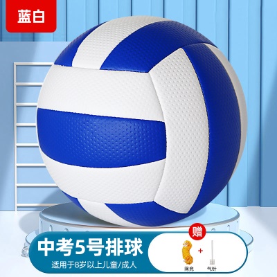 颗粒面【5号】蓝白（网兜+气针）