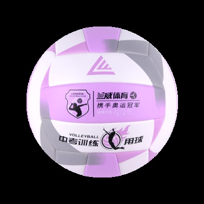 花式排球5号紫色0577