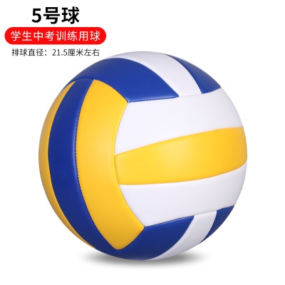 防爆加厚款；5号中考专用黄白蓝 送气筒气针网兜