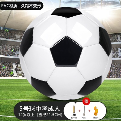 【5号】黑白款-升级加厚（气筒+网兜+气针）