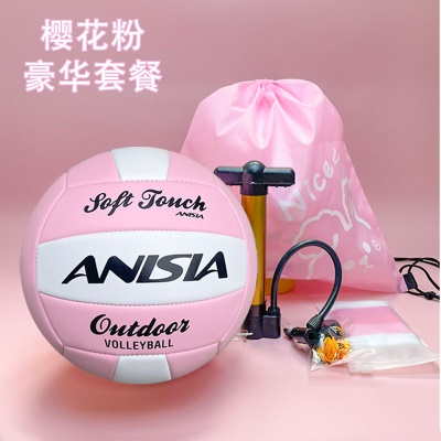 5号樱花粉（不发光） 豪华款 中考专用 针网兜护腕气筒球包