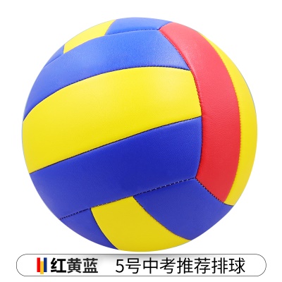 红黄蓝【常规款】5号中考学生专用（送气筒气针网兜）