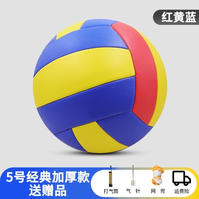 红黄蓝【5号经典加厚款】送气筒气针网兜