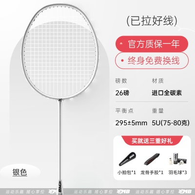 1支-银色【进口全碳素5U】26磅-送套餐一礼包5件套