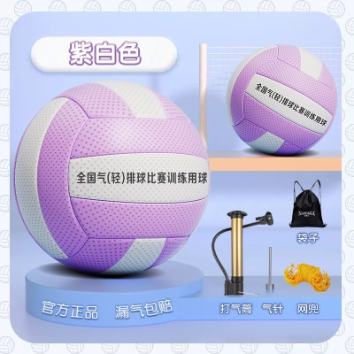 超轻气排球【5号紫色】中小学生 送袋子气针气筒网兜