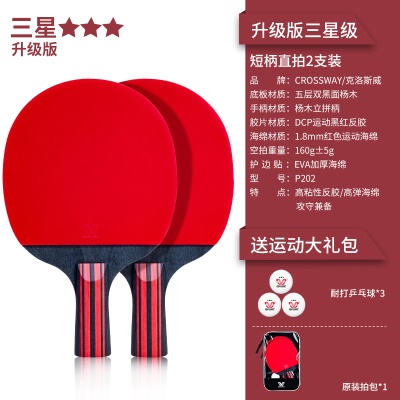 【升级版三星级2支装】短柄直拍+送3个球、拍包