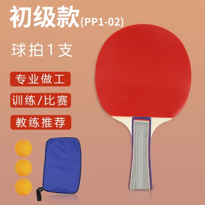 单拍一支+3个星级球+牛津布袋 PP2-02