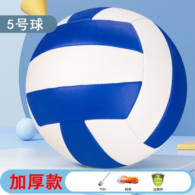 【5号】蓝白-升级加厚（网兜+气针）