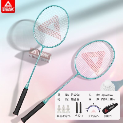 2支【初学升级】马卡龙绿（送6羽毛球套装）热销款