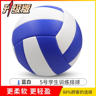 蓝白【升级款】5号加厚软皮（送气筒气针网兜）