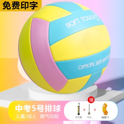 黄粉蓝【5号防爆加厚】送气筒气针网兜