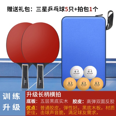 3星训练（横拍长柄）2支+送5球+1拍包